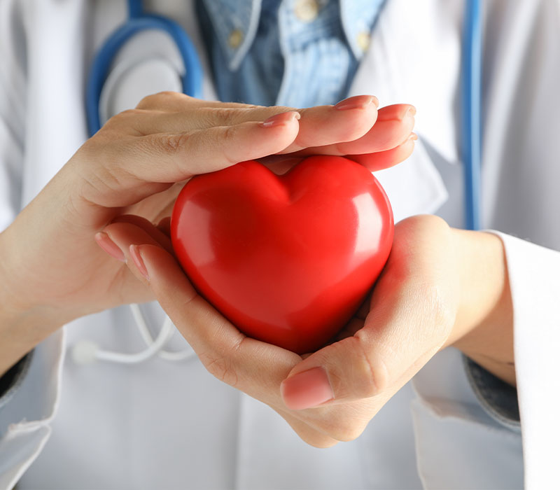 Cardiologia